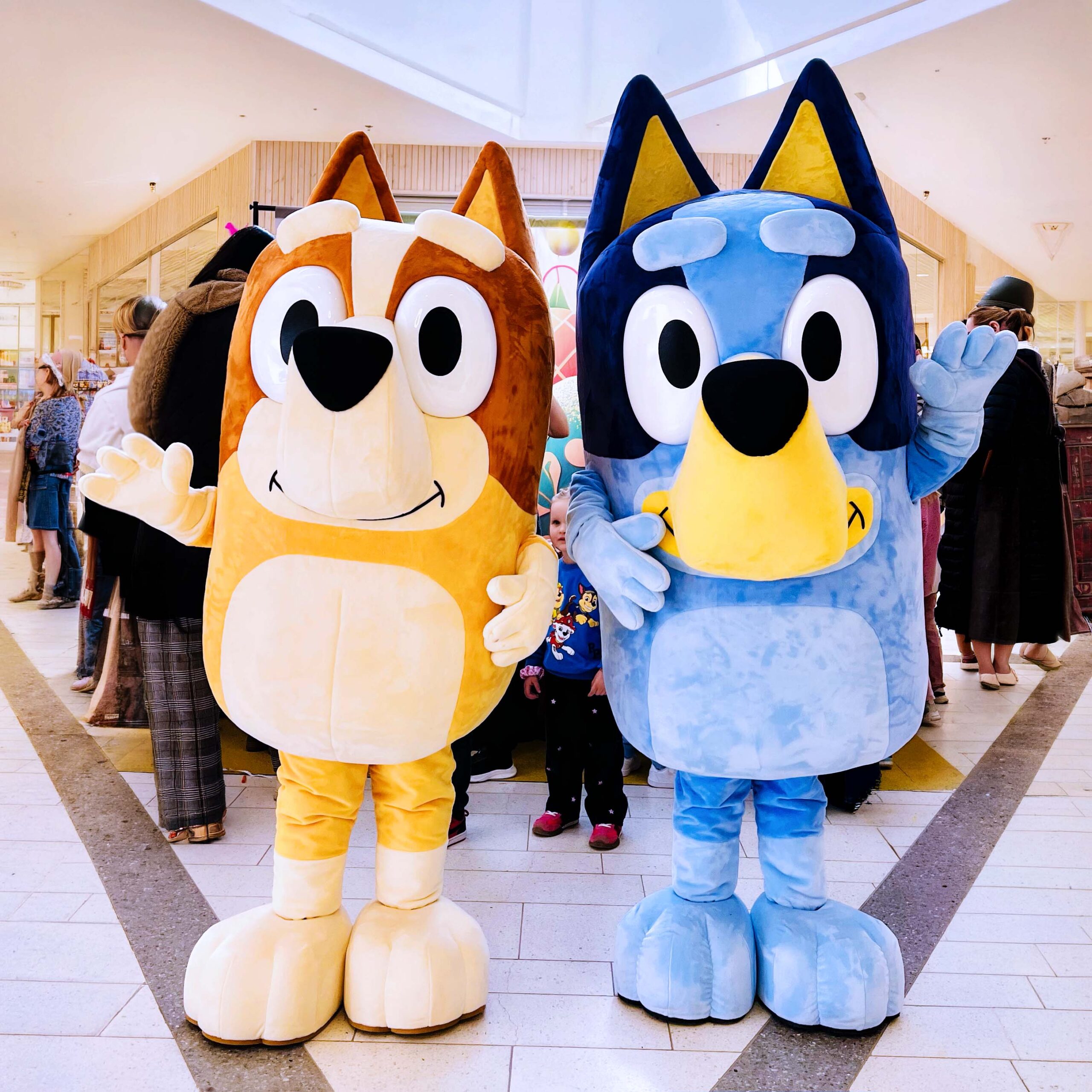 Är Bluey störst i världen just nu? Boka och se för dig själv!